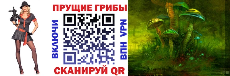 Галлюциногенные грибы ЛСД  кракен как зайти  Томилино 